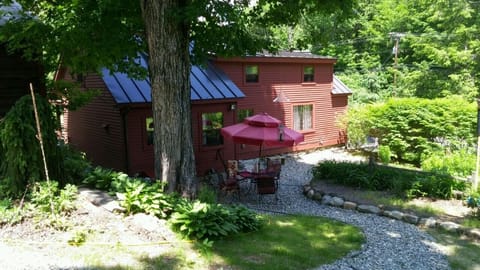 Summer / spring back yard