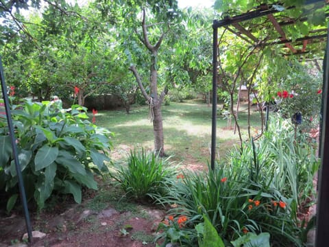 garden