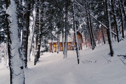 Winter View of house from north hiking path