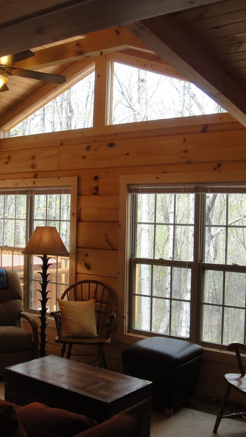 Vaulted ceiling in living room