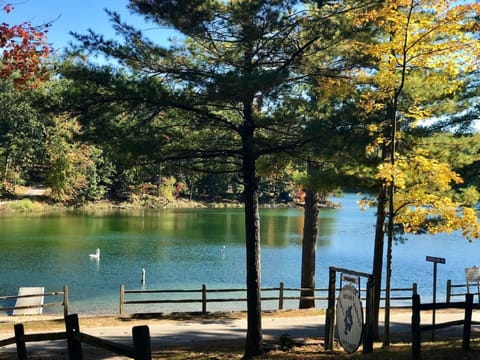 Shared Beach with swim area