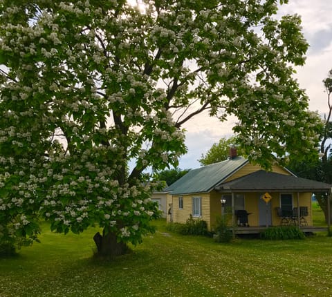 Gas grill, patio table,chairs & brand new porch swing outside on the front porch