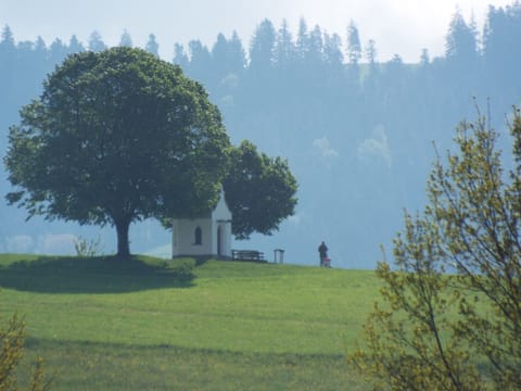View from the flat to the "Chapel hill"