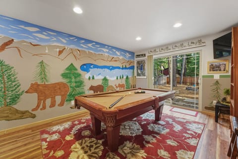 outdoor area includes sliding door, wall-mounted TV, billiard balls, and wall mural.