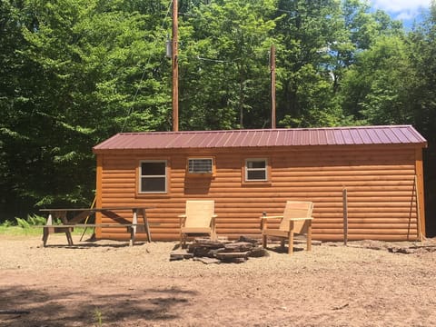 Fire Pit with chairs and picnic table