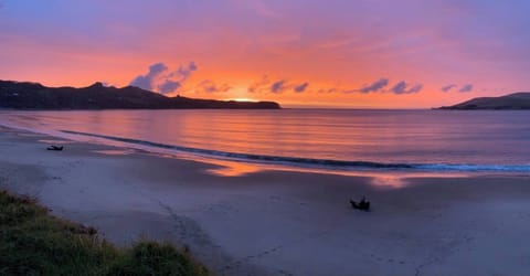 standing on the beach in front of the house 