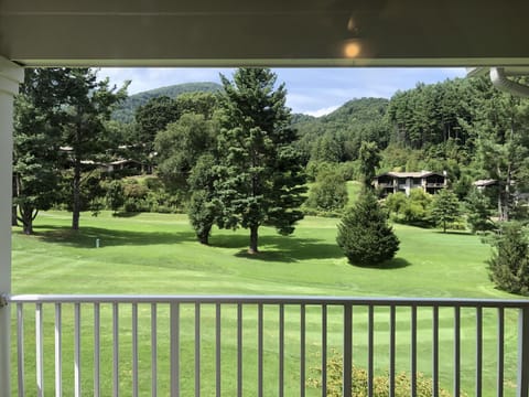 OntheGreen,ViewoftheGreenfromPorch