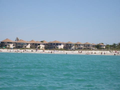 Castaways from the Gulf!