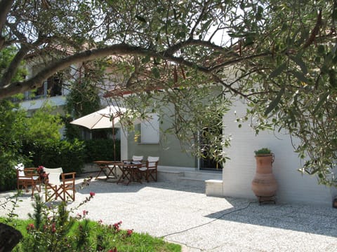 My favourite plant "Bougainvillea" in the beautiful Cretan pottery 2 yars ago 