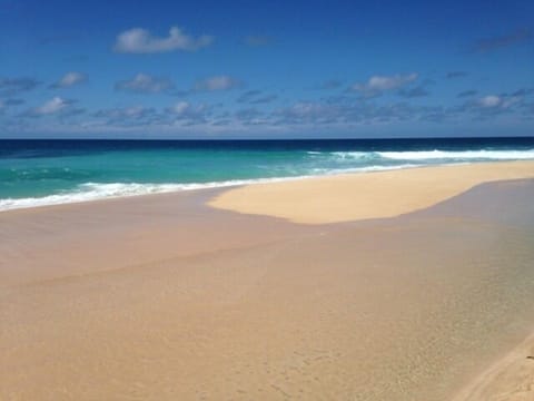 Local beach within walking distance of the cottage