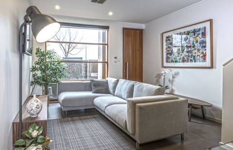 Plenty of space to watch TV, with a couch that could sleep an extra person.