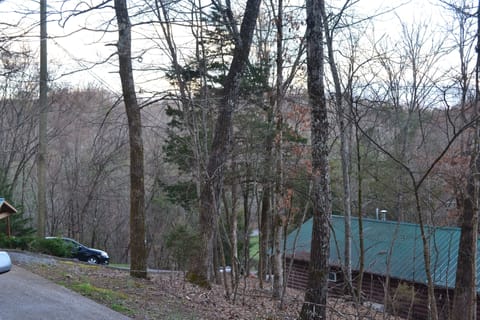Front driveway looking down hill