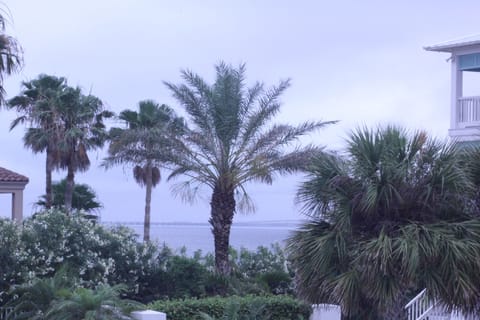 Bay view from Someday!