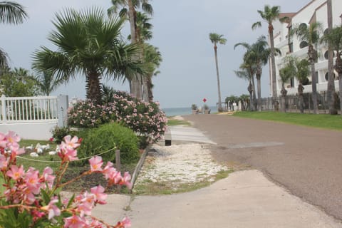 View from the driveway looking towards walking distance to the bay.