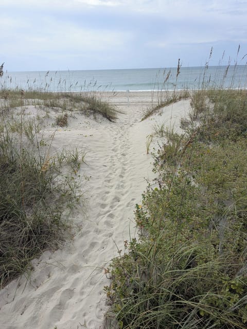 footsteps to the beach