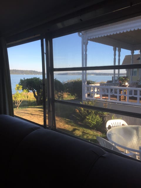 view out window by hide-a-bed.