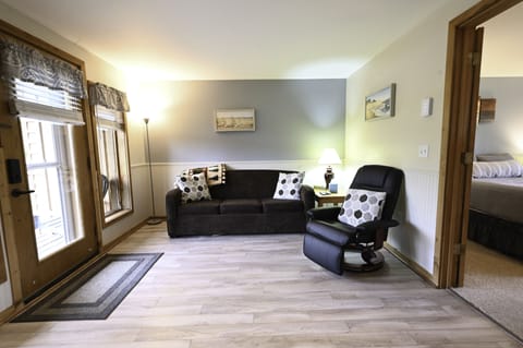 Cozy living room. New leather chair