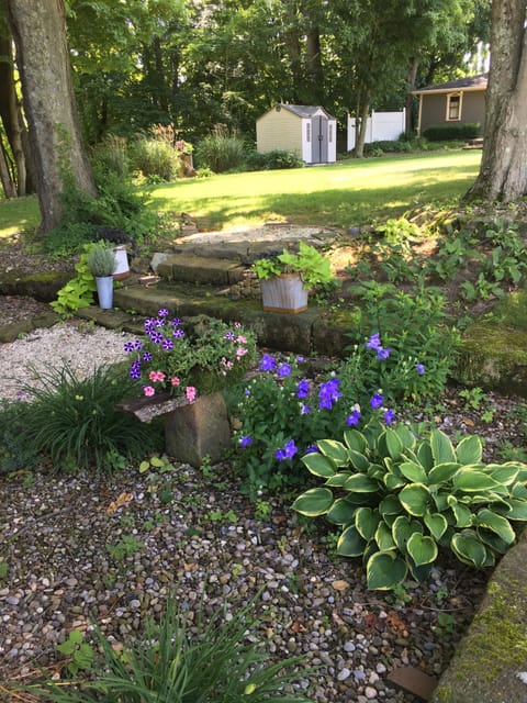 Lush and shady summer garden