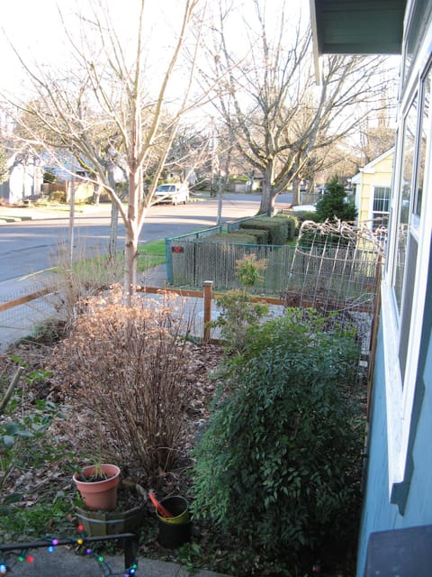 View from the front porch looking over the  spring garden.