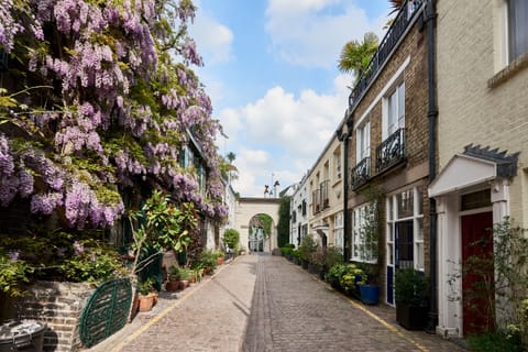 Wisteria heaven 