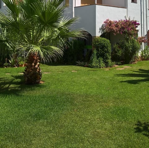 looking from the gardens to our patio, with bourgainvilla