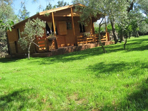 Chalet Green Garden near the sea