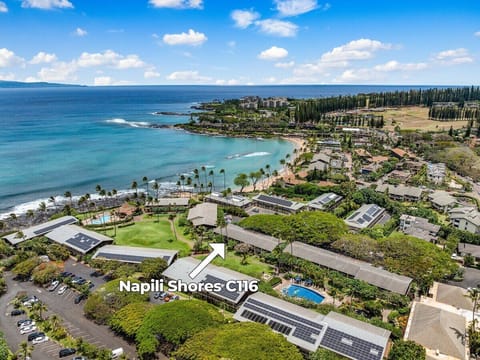 An aerial view of Napili Shores C116, showcasing its incredible proximity to the turquoise bay.