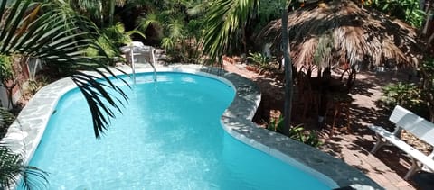 Swimming pool area Tiki parasol with chairs, table, sofa and part of garden.
