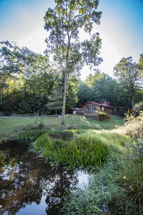 View of cabin from the stream