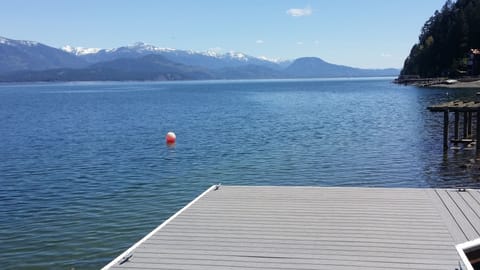View from the dock in early spring.  Wonderful swimming, fishing and boating.