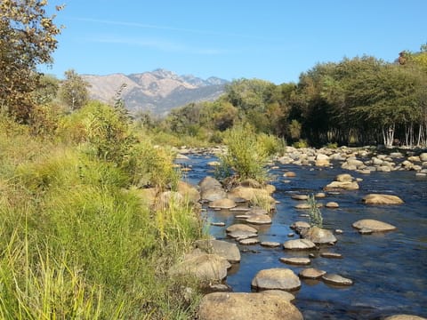 Perfect getaway to enjoy nature! River a short walk from the house