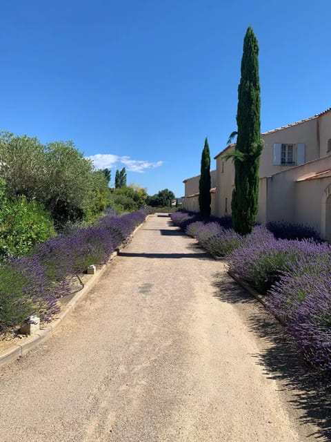 Lavender paths to many of the houses.