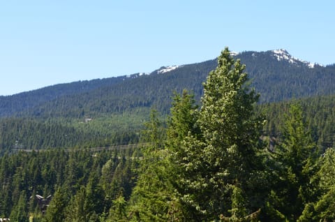View from Condo and Deck