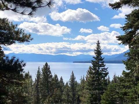 Amazing lake view from living room, kitchen,and two bedrooms
