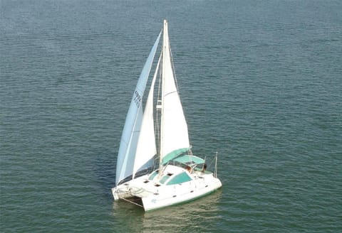 Trinity taking guests for a sail. 