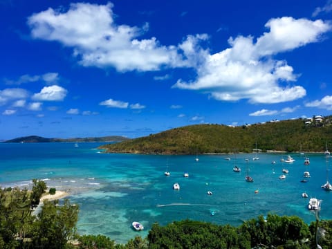 Amazing Views from this Penthouse Condo