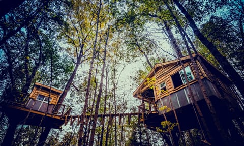 View of this beautiful treehouse. Main cabin on right. Snuggle on left