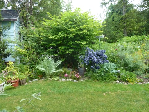 Private Foliage Screen to  BBQ area.
