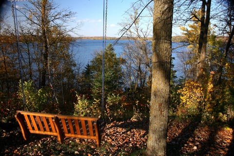 Cotton Lake from the swing