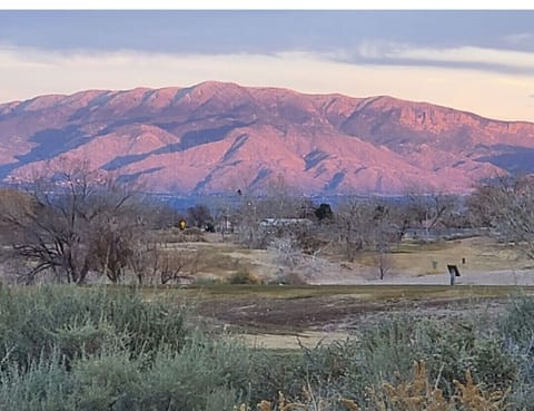 Sandia mean watermelon.  View from patio towards mountains. 