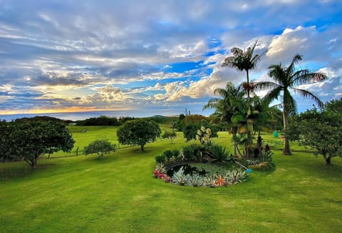 The front yard of Always In Season. View from the Aloha Cottage.
