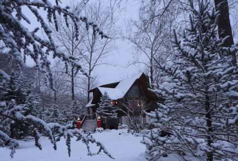 ☃️BOOK NOW!☃️
❄️WINTER❄️ SMOKIES HOLIDAY🎄Easily accessible, no snow tires needed❄️☃️