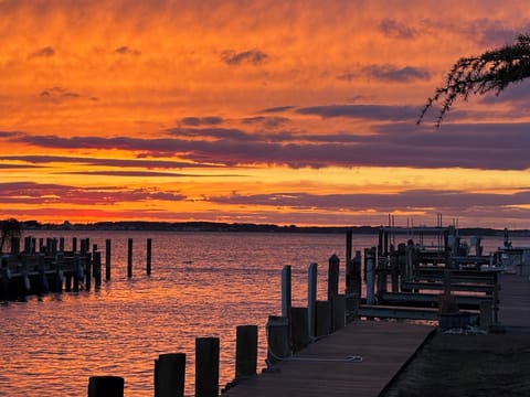 View from the dock