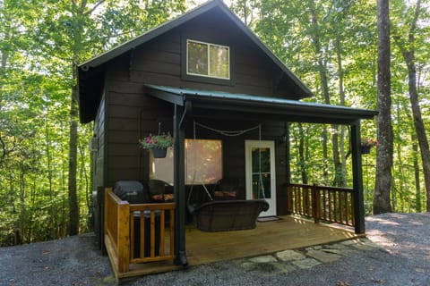 Pungo's Cabin