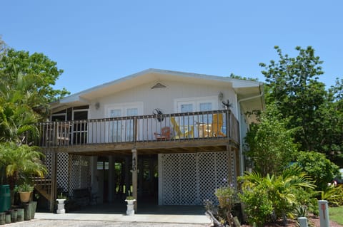 Front view