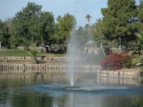 Fountain