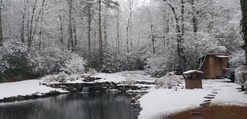 Front pond -winter wonderland