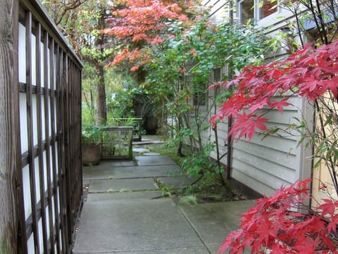 Beautiful Maple and Bamboo