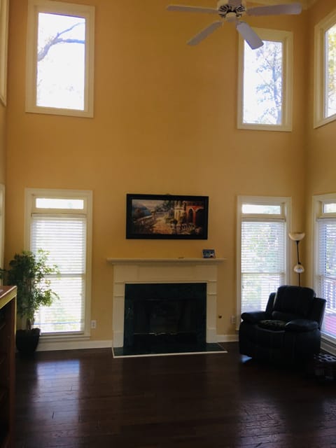 Family Room Fireplace