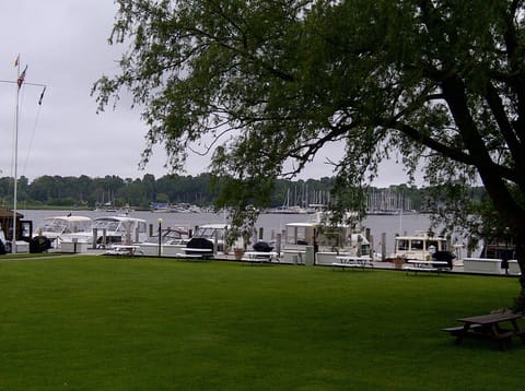 Park view from patio